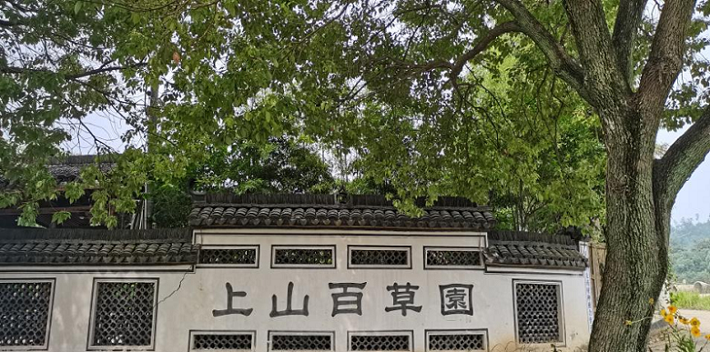 文章附图